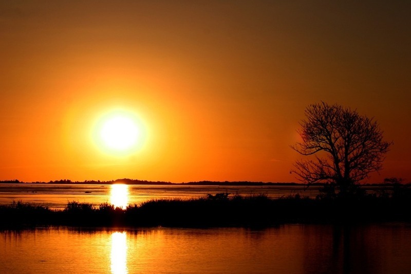Amazon-sunset