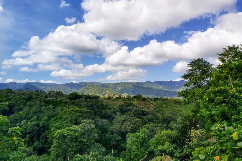 Nicaragua rainforest landscape 