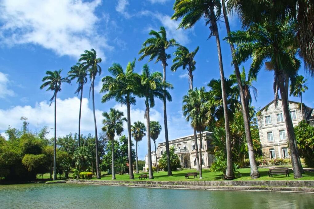 Tall palm trees in front of house by the water 