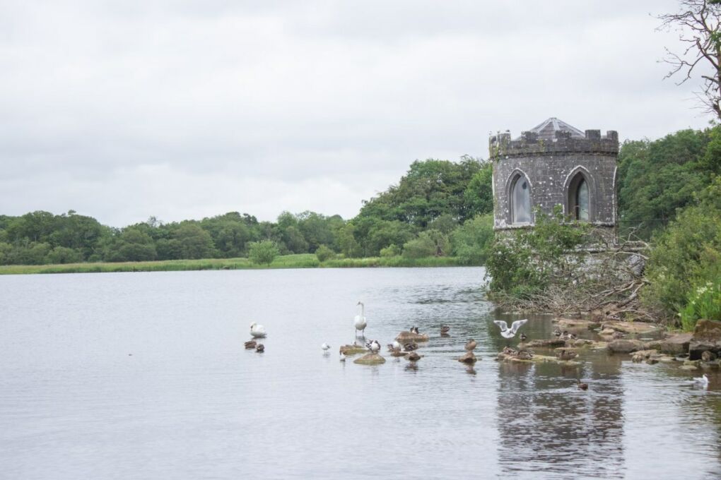image-of-grey-castle-in-roscommon