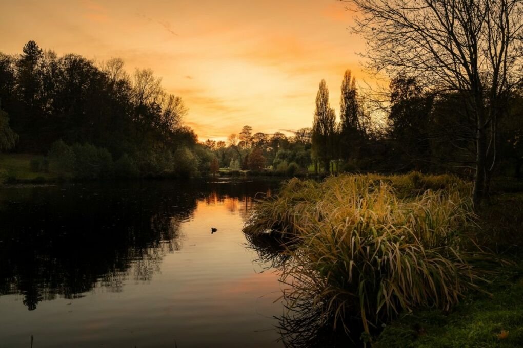 Woluwe-sunset