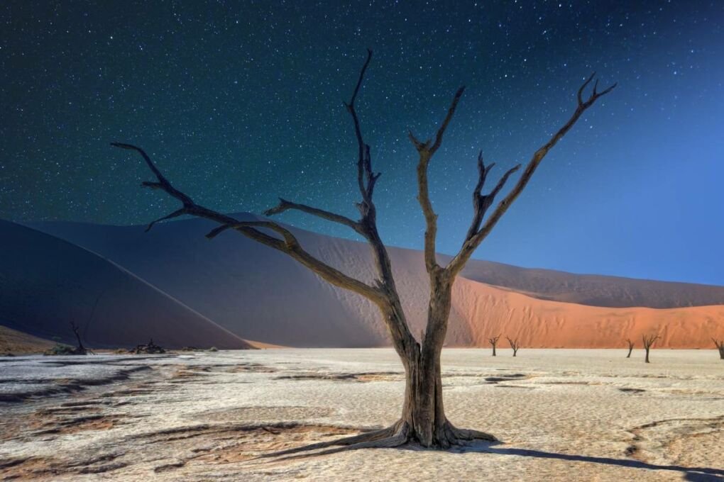 The starry Namibian sky over the trees of the Deadvlei clay pan