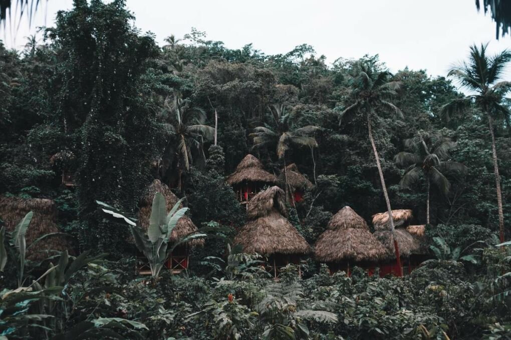 Huts in a tropical forest in the Dominican Republic