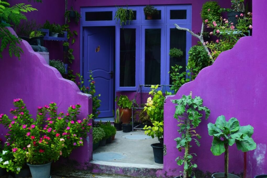 A colorful house in Maafushi The Maldives