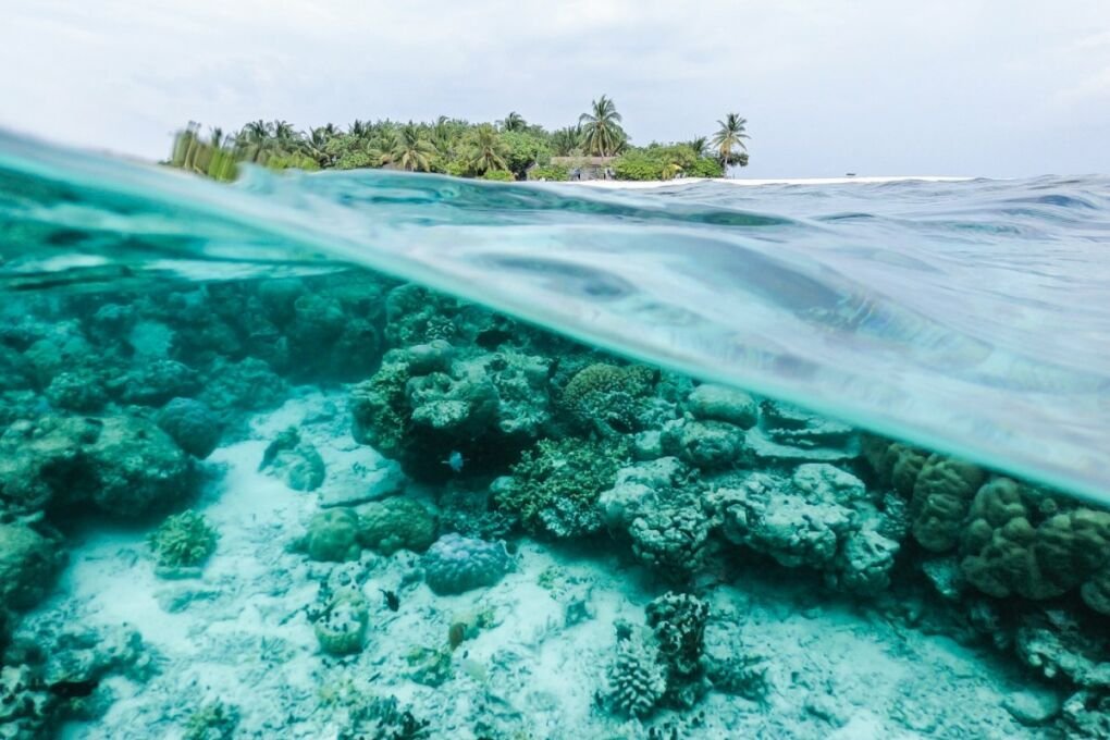 View of a lush Maldivian island and underwater reef