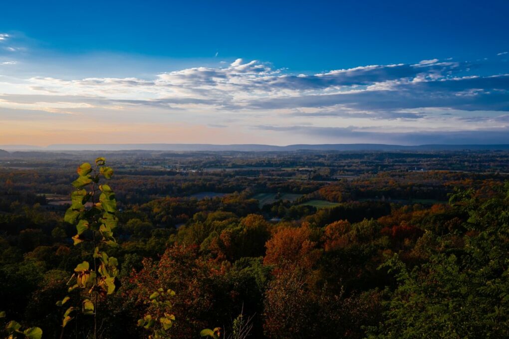 View of the nature and city of Pennsylvania