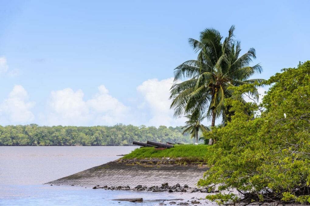 Coastal view of Suriname