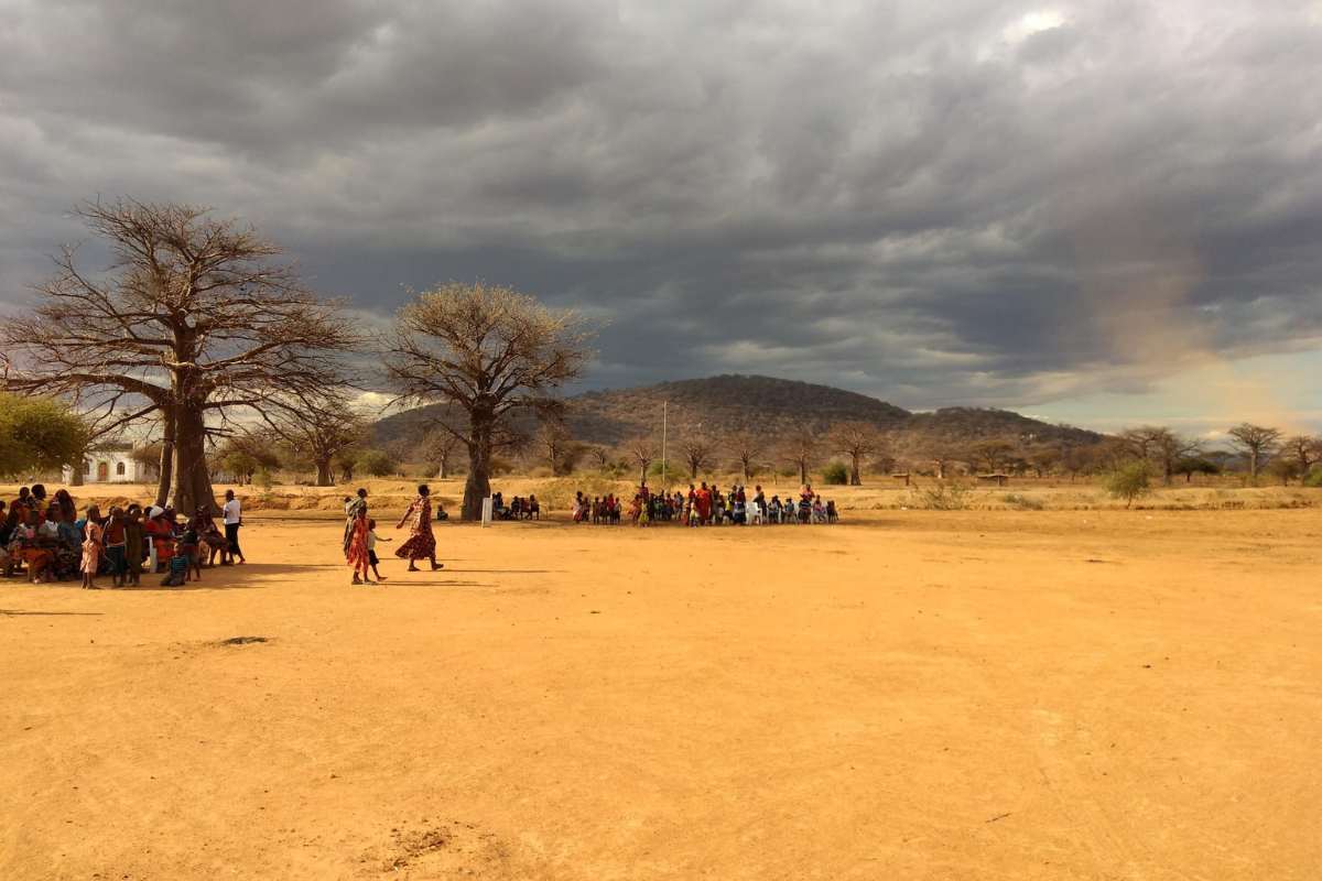 people-on-brown-field-near-trees-under-cloudy-sky-during-daytime