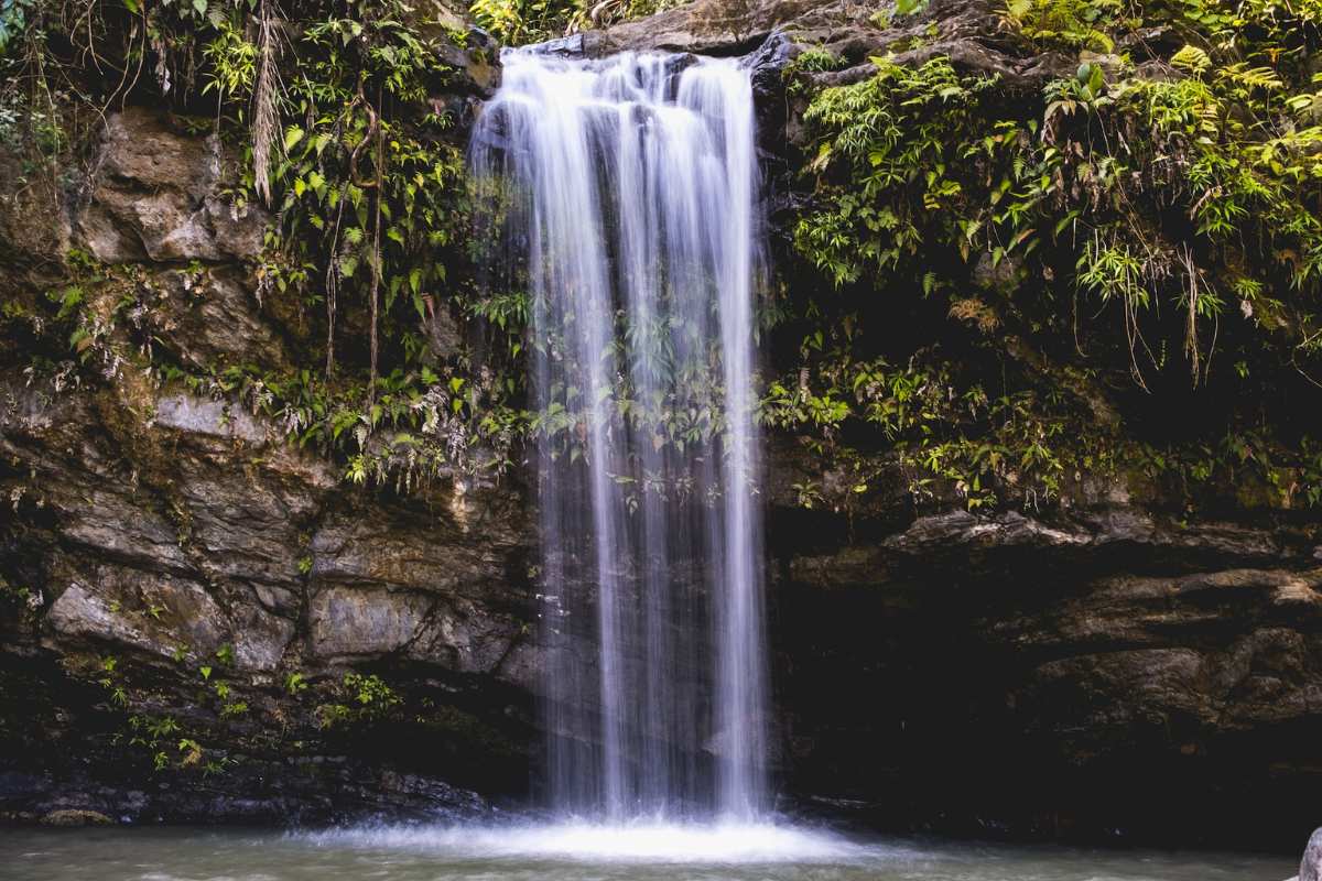 rainforest-waterfall