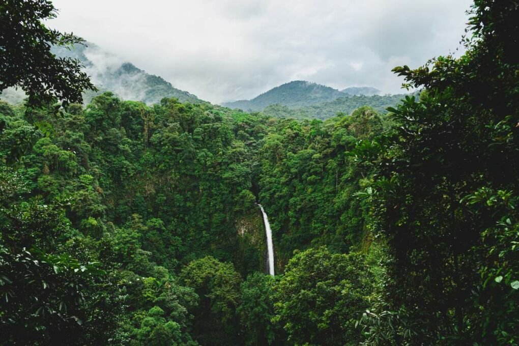 Costa Rica waterfall in lush jungle|||||||||