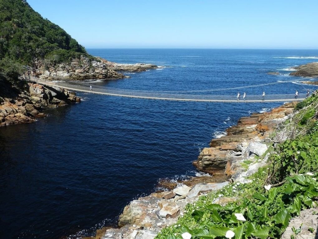 Storms River Mouth suspension bridge over river mouth|Selection of different cheeses|Bloukrans highest bungee jumping bridge in the world|Fresh oysters on ice|Knysna Loerie sitting in tree|Lush green forest path|Person kayaking down rapids|Purple grapes hanging from vines on a wine farm|Garden Route road disappearing into mountainous landscape|Wooden path by the ocean on Robberg hiking trail|Yacht sailing on Knysna Lagoon between the Knysna Heads