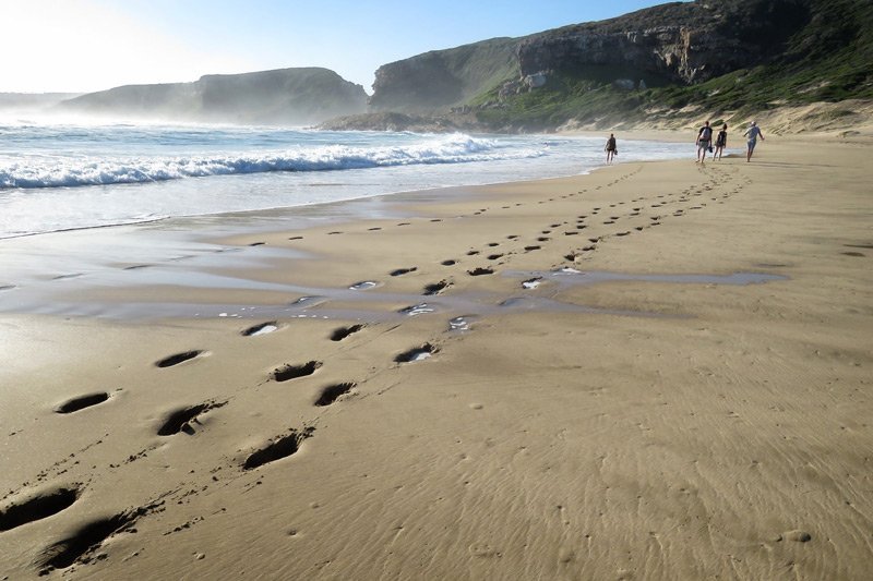 Plettenberg Bay Beach|monkey at Monkey Land sanctuary|sunrise over the Indian Ocean|wooden coastal boardwalk in Robberg Reserve|Swimming seals from above|man walking the Robberg traill